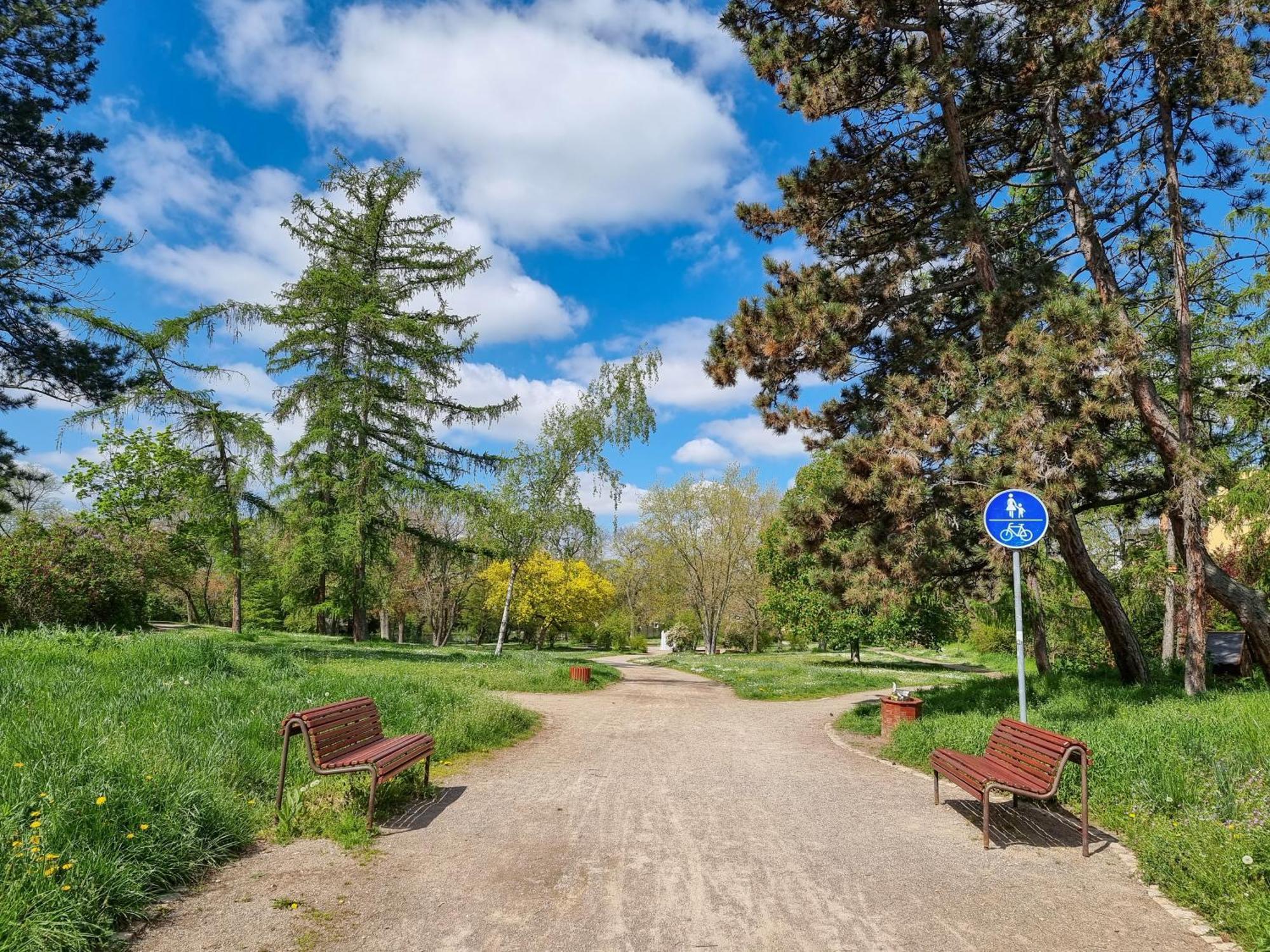 Ferienwohnung Am Stadtpark Naumburg  Bagian luar foto